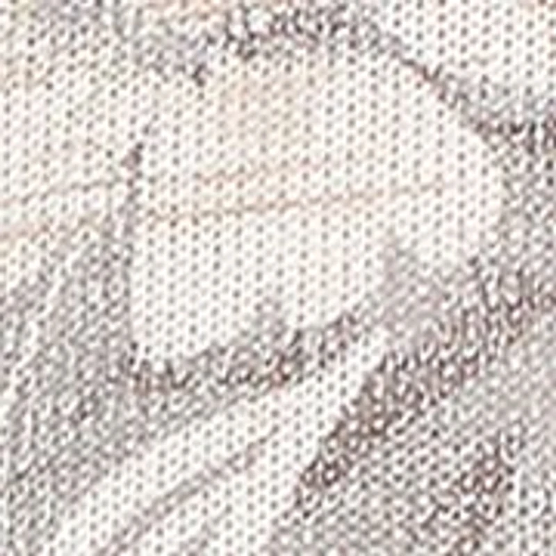 Women's  Vienna Texture Floral Ombre Top