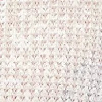 Women's Vienna Diagonal Animal Top