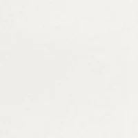 Women's Vienna Animal Heat Set Top