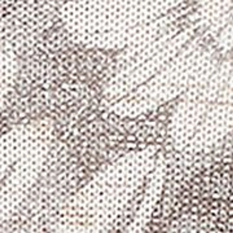 Plus Vienna Texture Floral Ombre Top