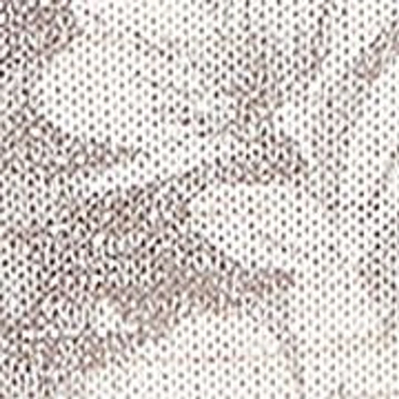 Petite Vienna Texture Floral Ombre Top