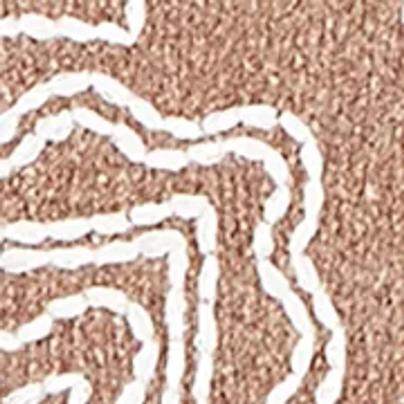 Petite Vienna Stitched Leaves Chenille Sweater