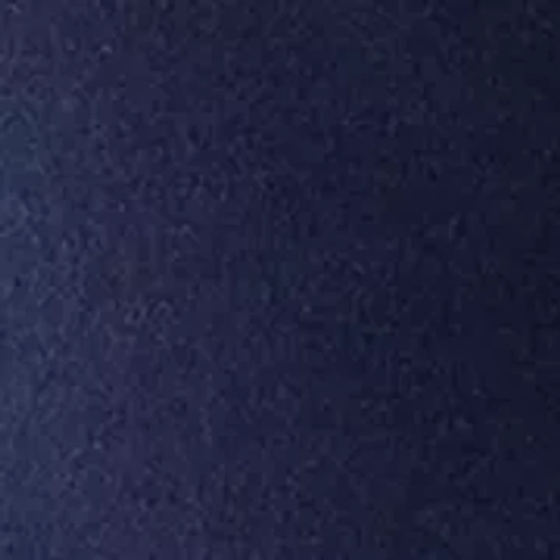 Petite Crew Neck Embroidered Sleeve Top