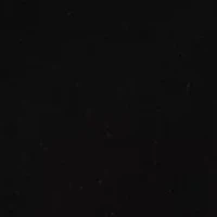 Petite Scuba Ankle Pants