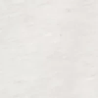 Women's St. Augustine Medallion Embroidered Yoke Shirt