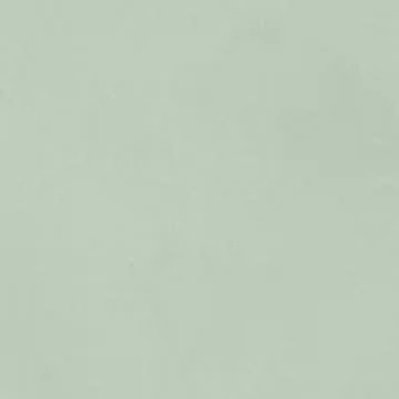 Plus St. Augustine Proportioned Short Pants