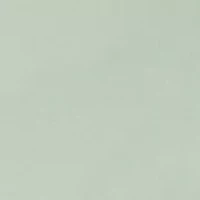 Petite St. Augustine Proportioned Short Pants