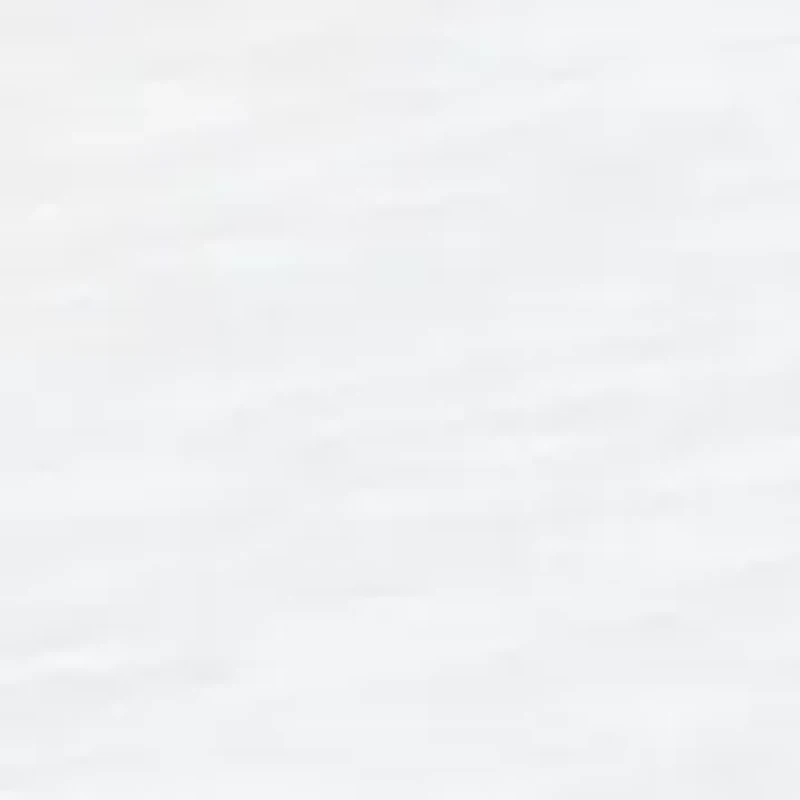 Petite St. Augustine Placed Floral Embroidery Top