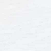 Petite St. Augustine Placed Floral Embroidery Top