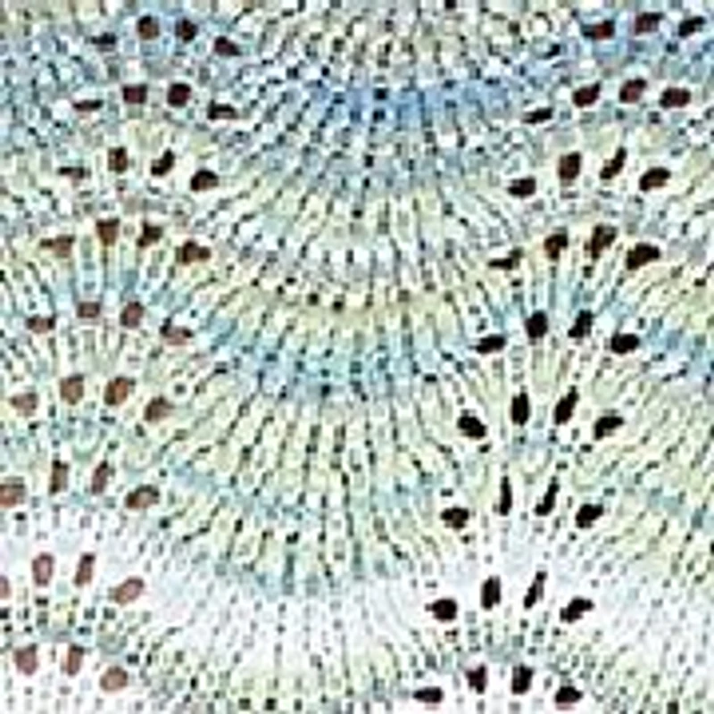 Petite St. Augustine Space Dye Texture Sweater