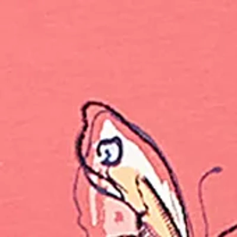 Women's Austin Asymmetric Etched Floral Top