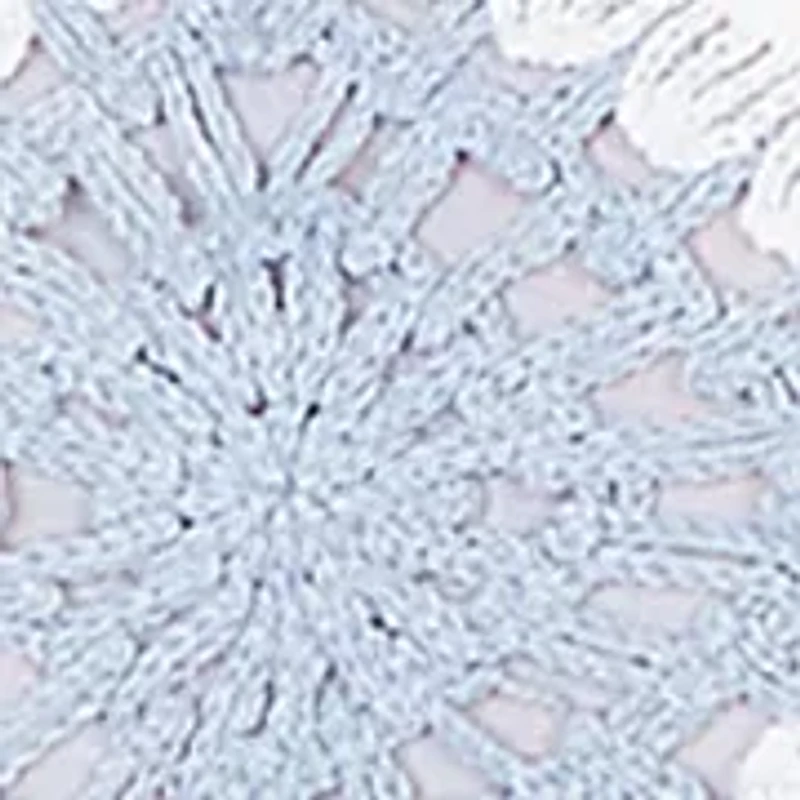 Women's Missy Austin Diamond Crochet Top