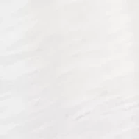 Plus Austin Embroidered Butterfly Top