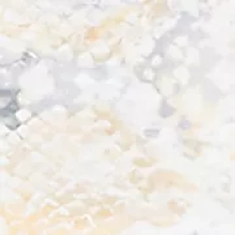 Women's Al Fresco Python Print Top