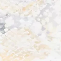 Women's Al Fresco Python Print Top