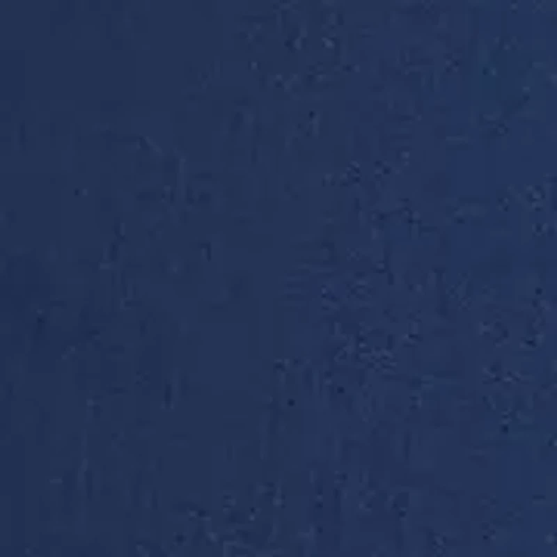 Petite Mykonos Embroidered Geo Ankle Pants