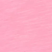 Women's The Royal Treatment Embroidered Yoke Top