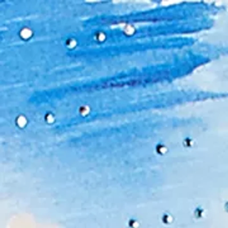 Women's The Royal Treatment Lake Como Top