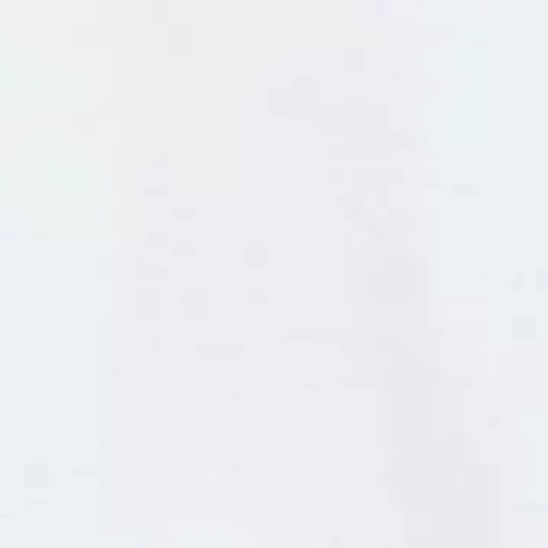 Women's The Royal Treatment Lace Trim Top