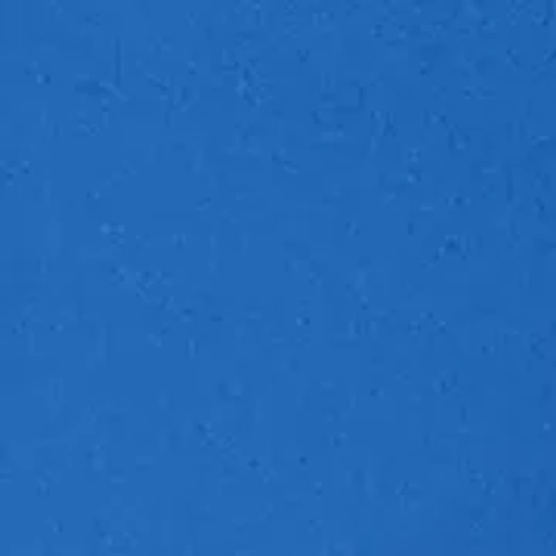 Plus The Royal Treatment Patch Pocket Capri Pants