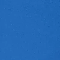 Plus The Royal Treatment Patch Pocket Capri Pants