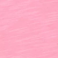 Plus The Royal Treatment Embroidered Yoke Top