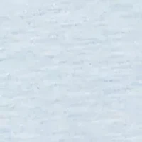 Women's Beachcomber Palm Tree Beach Embroidery Top