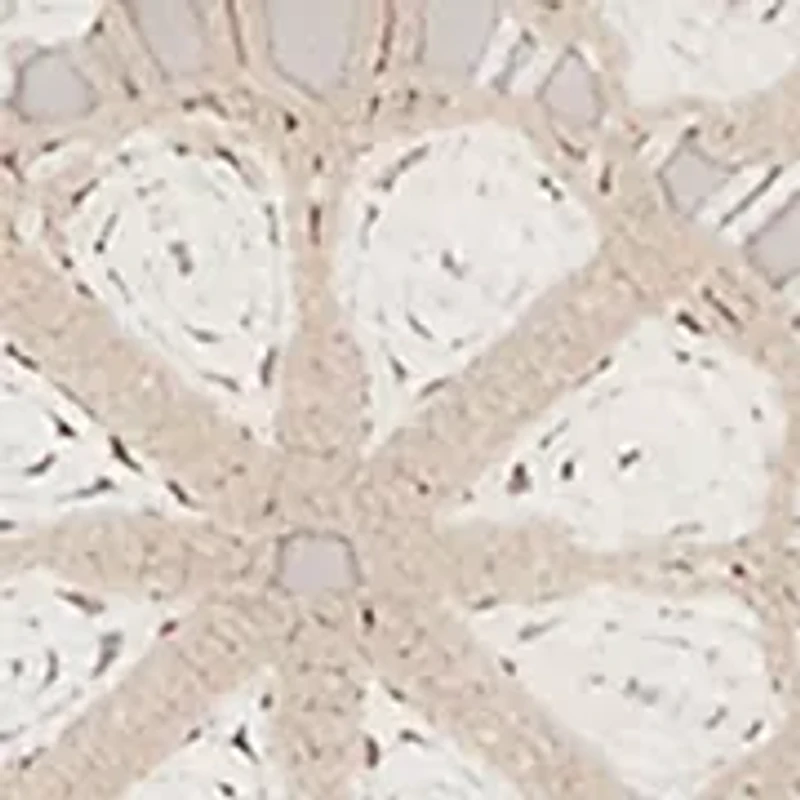 Women's Natural Wonder Floral Crochet Top