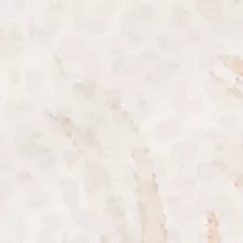 Women's Natural Wonder Feather Print T-Shirt