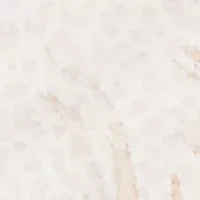 Women's Natural Wonder Feather Print T-Shirt