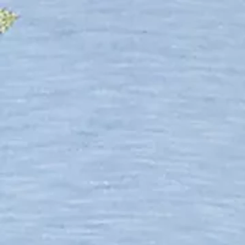 Women's Embroidered Floral Yoke Top