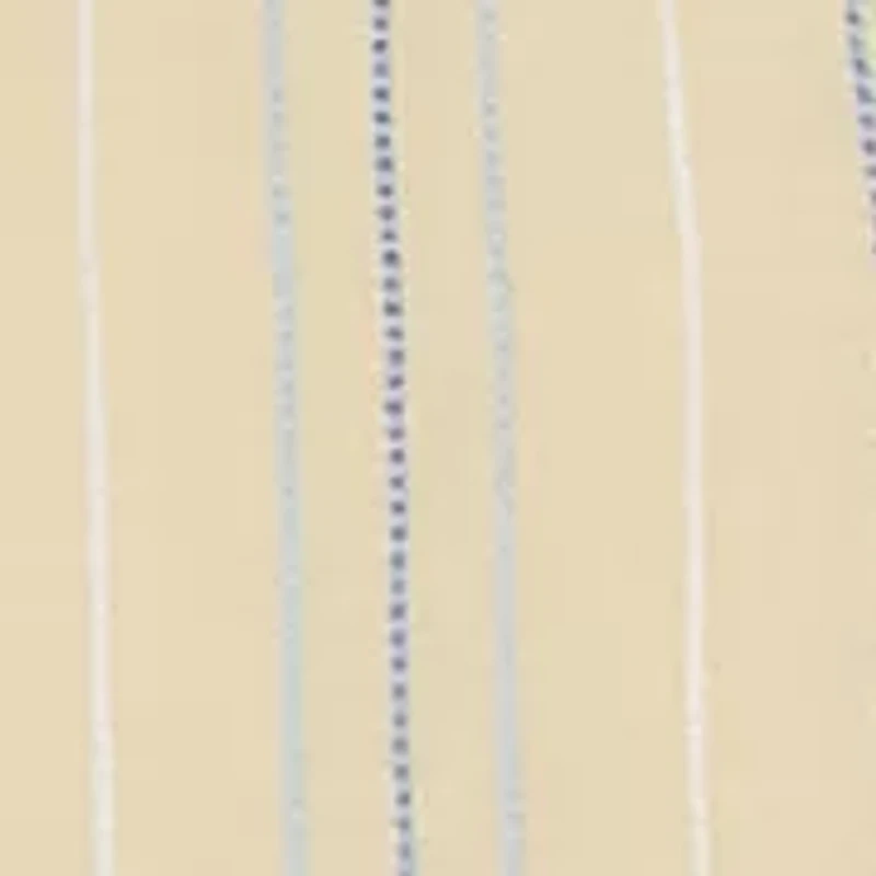 Women's Out Of The Blue Daisy Embroidered Stripe Shirt