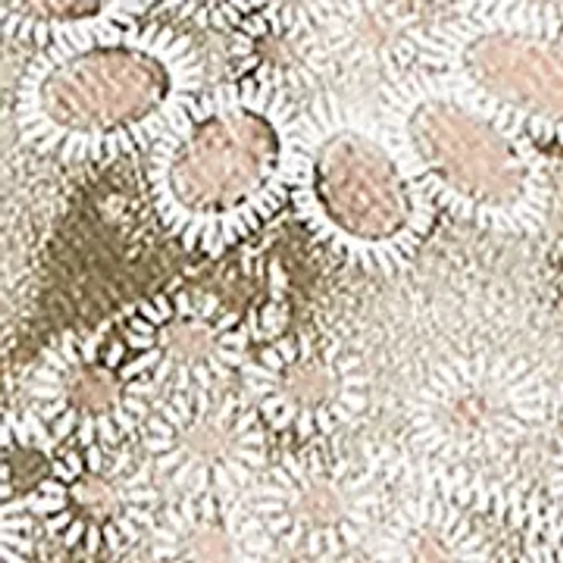 Petite Tie Dye Floral Monotone Woven Top