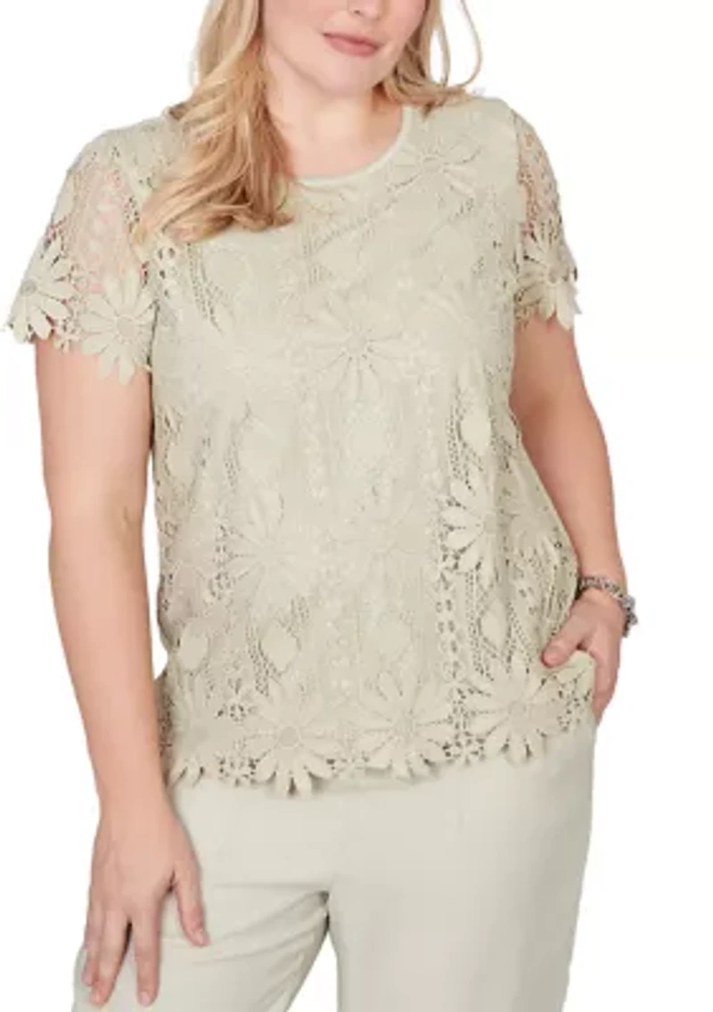 Petite Flower Lace Knit Top
