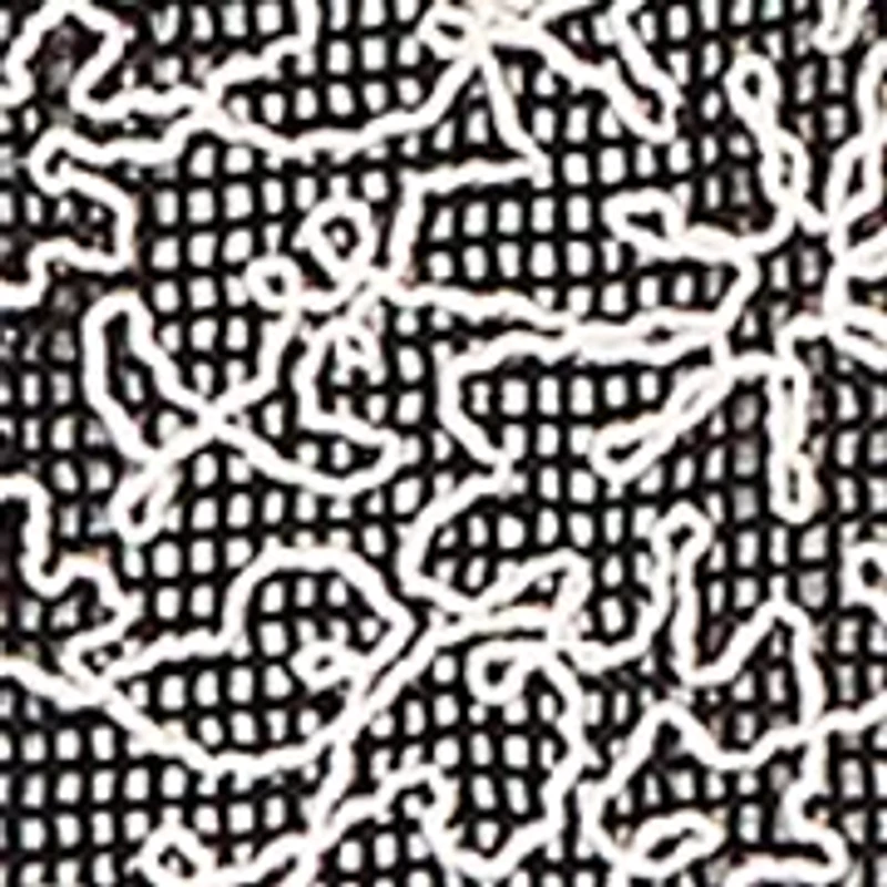 Women's Detail Driven Mesh Soutache Two One Top