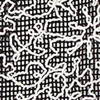Women's Detail Driven Mesh Soutache Two One Top