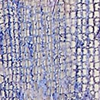Petite Grand Bazaar Patchwork Texture Top