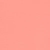 Plus Neptune Beach Medallion Cut Out Yoke & Border Top