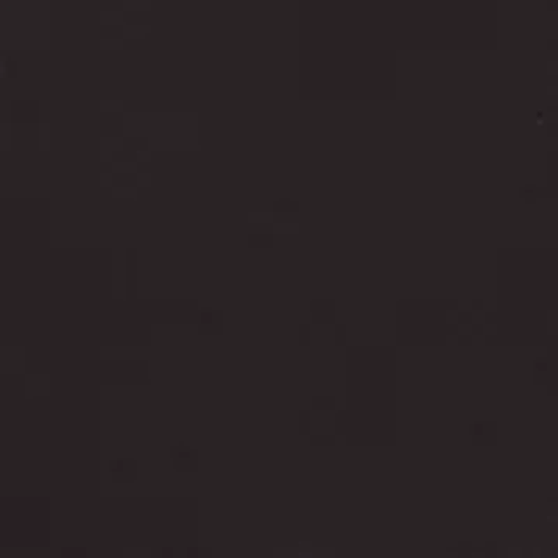 Women's  Runway Ready Proportioned Short Pants