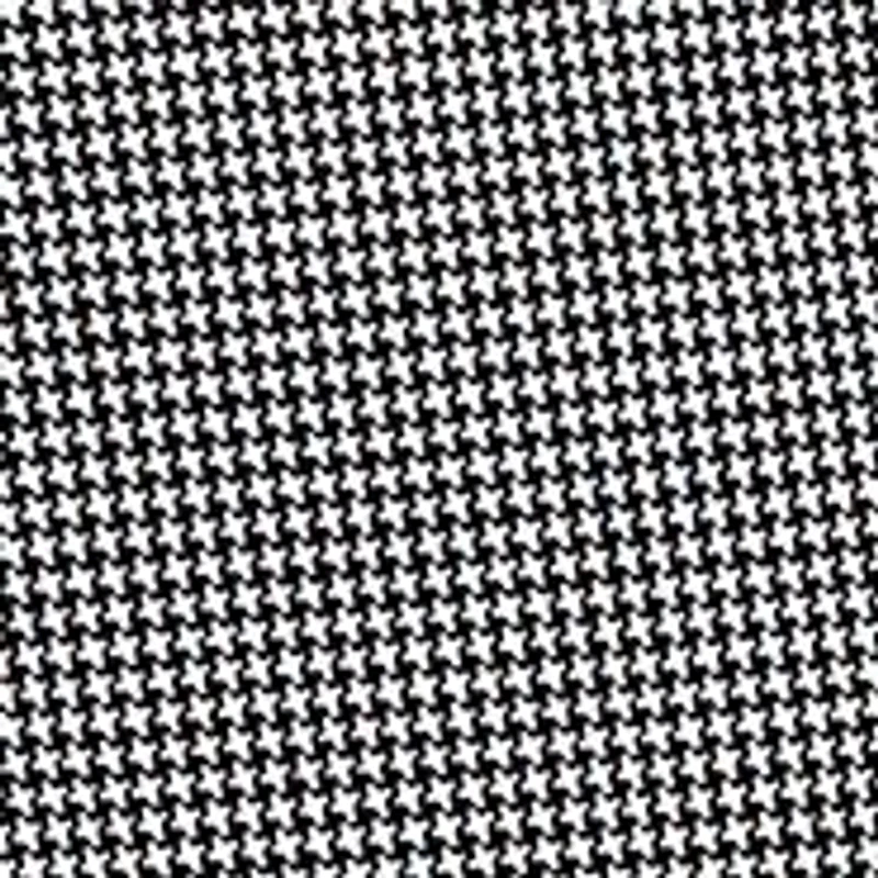 Women's Runway Ready Proportioned Short Pants