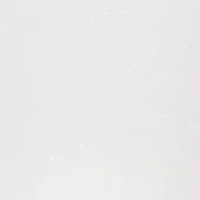 Petite Copenhagen Yoke Medallion Embroidery Top