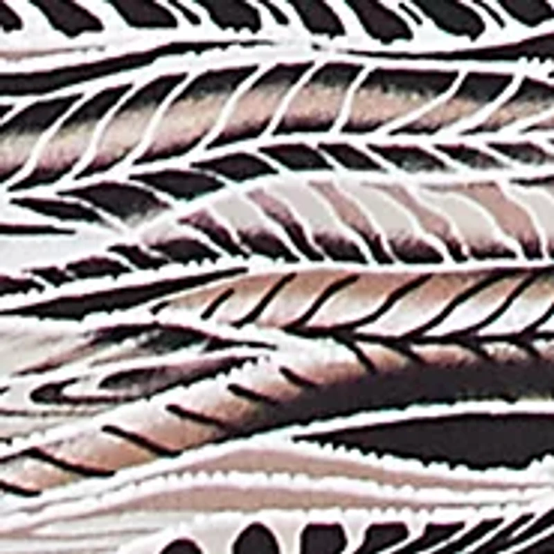 Plus Romancing The Stone Feathers Top with Trim