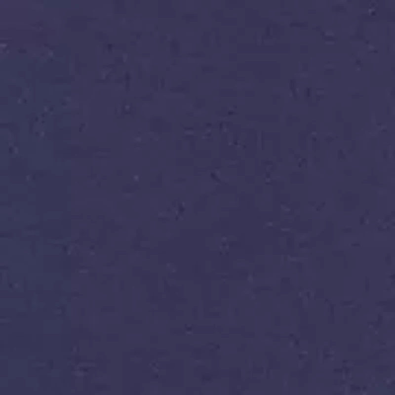 Petite Block Island Embroidered Daisies Ankle Pants