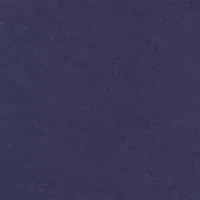 Petite Block Island Embroidered Daisies Ankle Pants