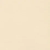 Plus Dress Code Lace Trim Top with Necklace