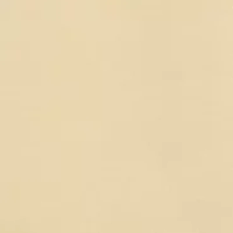 Petite Dress Code Lace Trim Top with Necklace