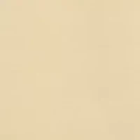 Petite Dress Code Lace Trim Top with Necklace