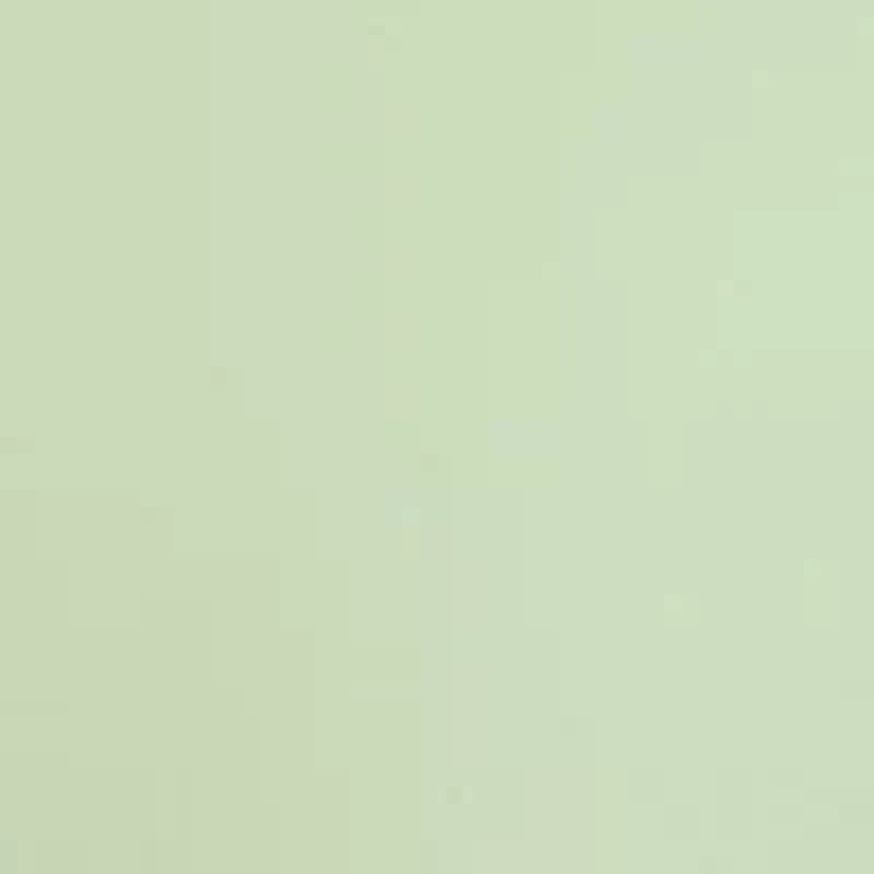 Plus Parrot Cay Novelty Cuff Capri Pants with Tummy Control