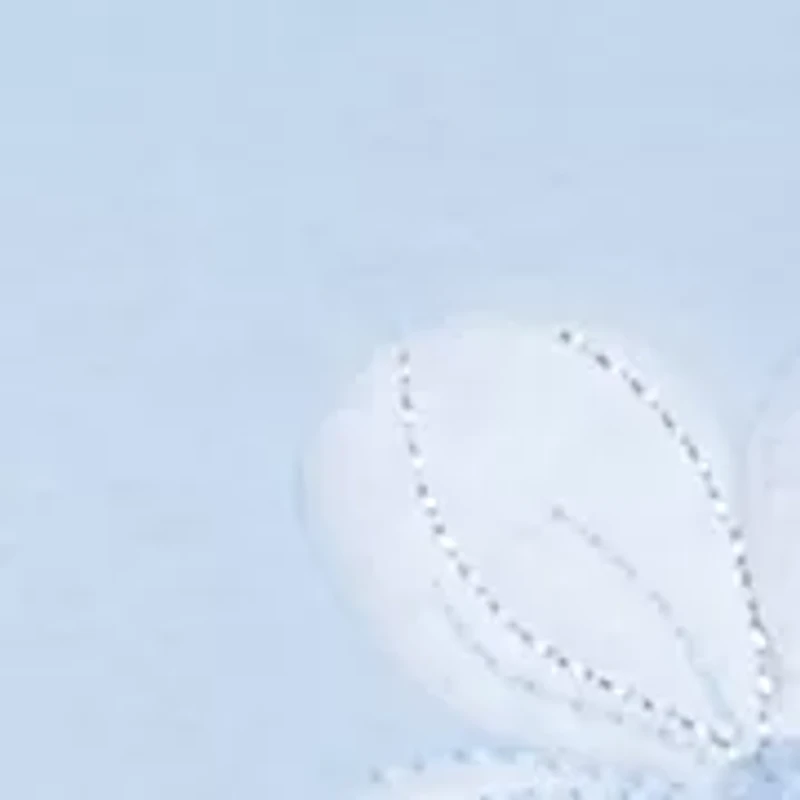 Petite St. Thomas Appliqué Dragonfly Flowers Top