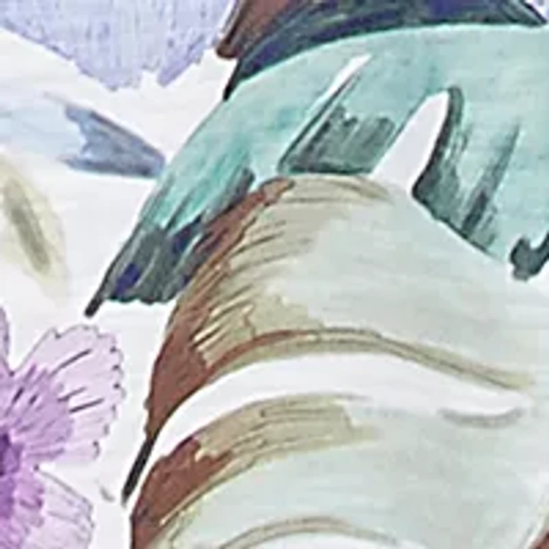 Women's Santa Fe Tropical Border Top